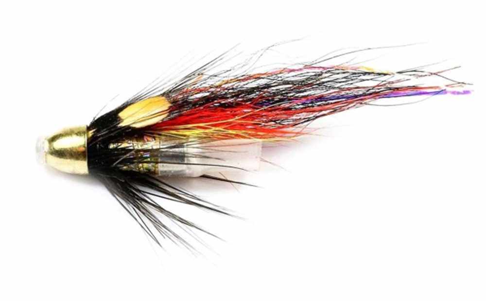 Salmon flies willie dog